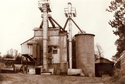 old_plant-e1359751797233