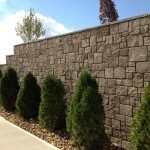 Natural Cut - Fernwood