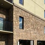 Natural Cut - Fernwood