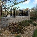 Natural Cut - Fernwood